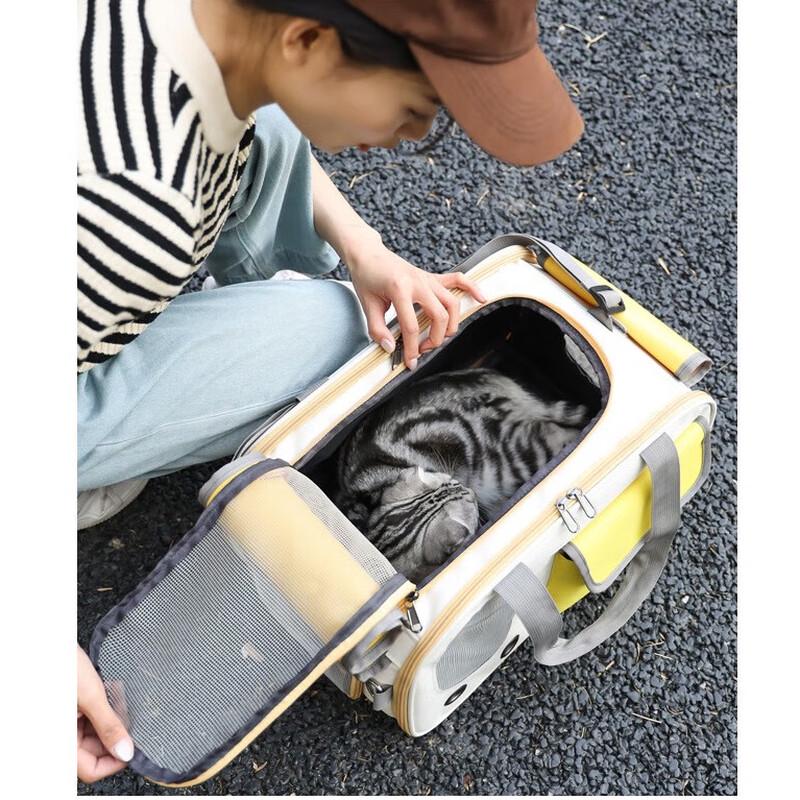 Portable Breathable Large Capacity Pet Carrier
