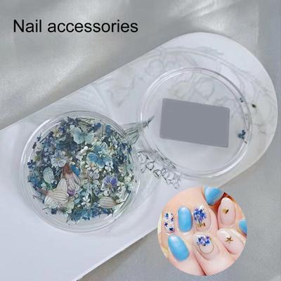 1 Box Nail Charms Paste Easily DIY Multiple Styles Beautifully Art Designs Dried Flower Decors for Salon