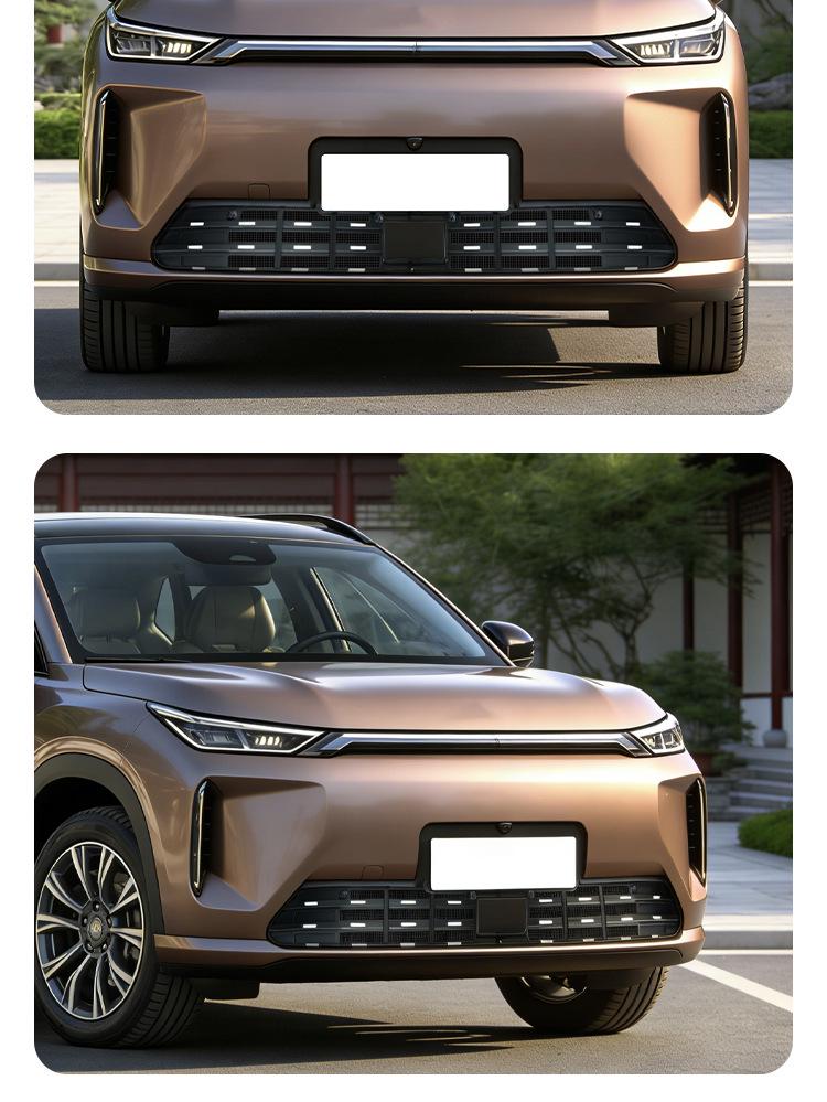 Insektennetz für GAC AION i60 Frontgrill - Kühlergrillschutz & Pollenschutzabdeckung