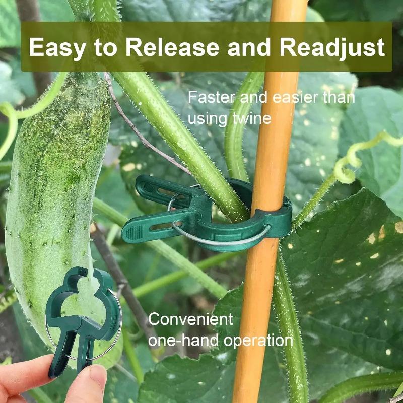 20pcs Plant Fixed Clips Reusable Garden Greenhouse Bracket Garden Plants Vine Climbing Clamp Flower Tomato Support Fastener
