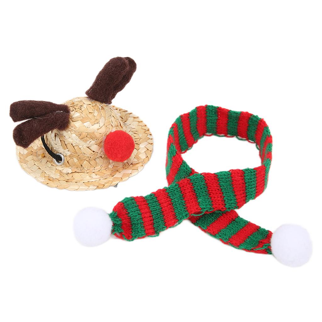 Bartagame Weihnachtsmannmütze Schal Reptil Verstellbar Stroh Elch Hut und Schal Weihnachtskostüm für
