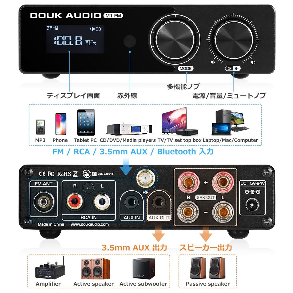 Douk Audio M1 FM HiFi TPA3116 Digitální zesilovač Bluetooth Stereo Receiver Domácí FM zesilovač 5.1 50W2