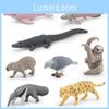 Realistisches Südamerika-Tierfiguren-Set 8 PVC-Modelle Für Sammler Und Dekoration