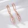 Innovative Design Shiny Natural Zircon Drop Earrings For Women Fashion  Rose Gold Color Romantic Daily Fine Jewelry