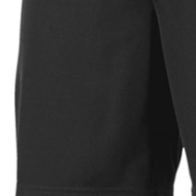 Puma Team Goal Men S SweatShirt polyeSter Training ShortS