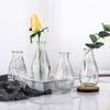 Nordic Transparent Glass Vase for Fresh or Dried Flowers – Mini Home Decoration Ornament