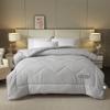 Tianqin Cashmere Protein Quilt