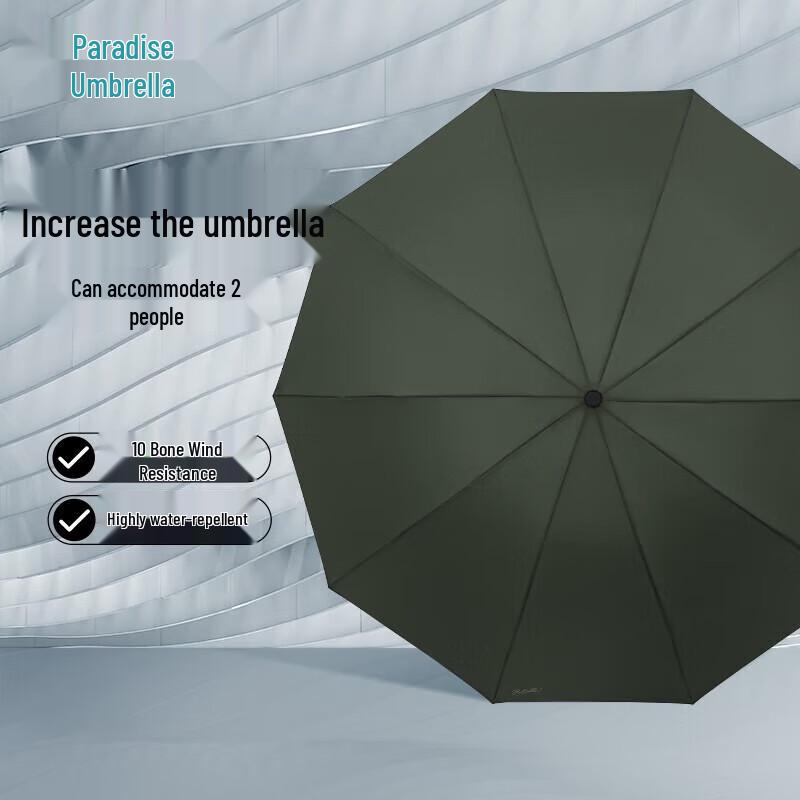 Paradise Strong Windproof Water Repellent 10-Rib Folding Umbrella