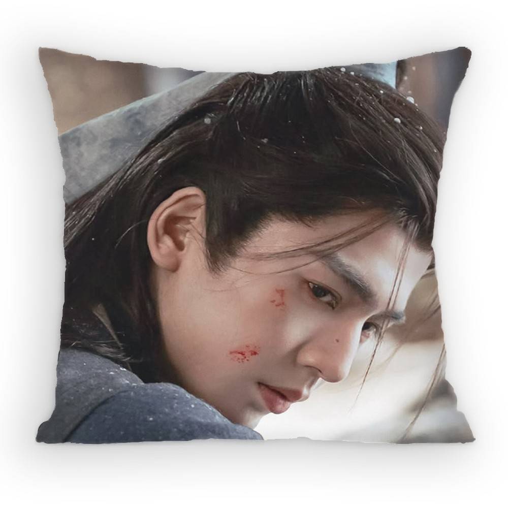 Zhang Linghe Pursuit of Jade Pillow Case Antidustmite Pillowcase Invisible Zipper Silky Sofa Cushion Cover for Bedroom
