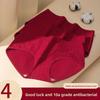 Lady Spring and Autumn Jacquard 10A Antibacterial Extended Crotch Native Year Red Underwear