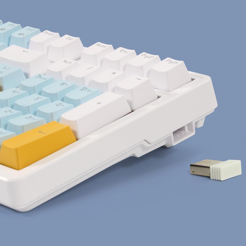 Merdia Mechanical Keyboard, Type-C Wired, 2.4G, 100 Keys, Independent Key Switches, LED Backlight, English Layout, ABS Material, for Mac & Windows,