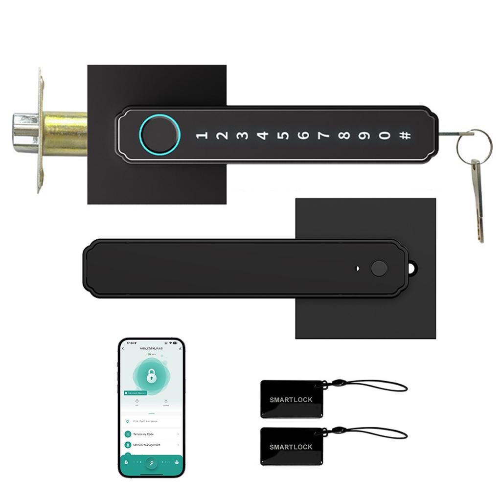 Smart Fingerprint   5 in 1 Keyless Entry Biometric Lock with APP Control Password Keypad IC Card Auto Lock for   Apartment