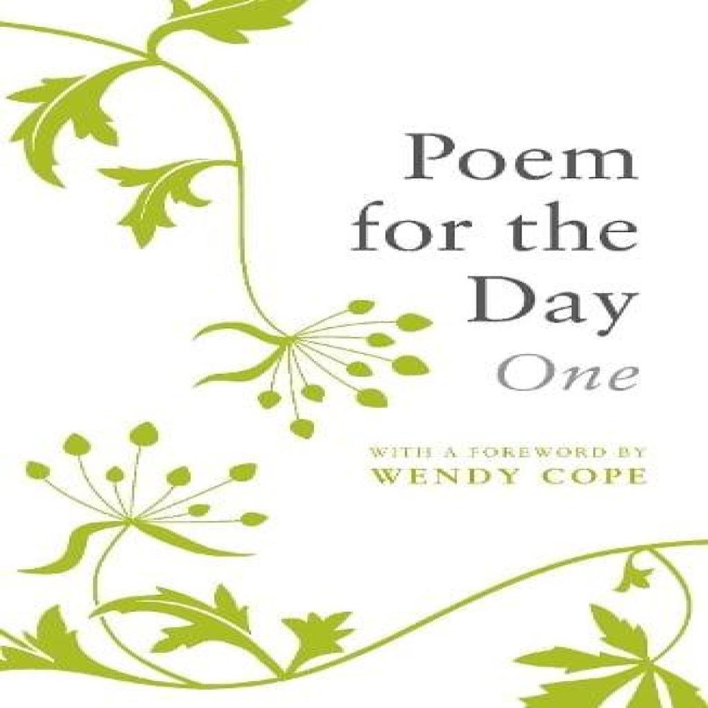 Poem for the Day by Nicholas Albery Paperback Book 9781856194990