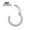 G23 Titan Opal Stein Hohe Segmentringe Offen Kleine Nasen Septum Clicker Ohrringe Tragus Helix Piercing Körperschmuck Ring Stecker