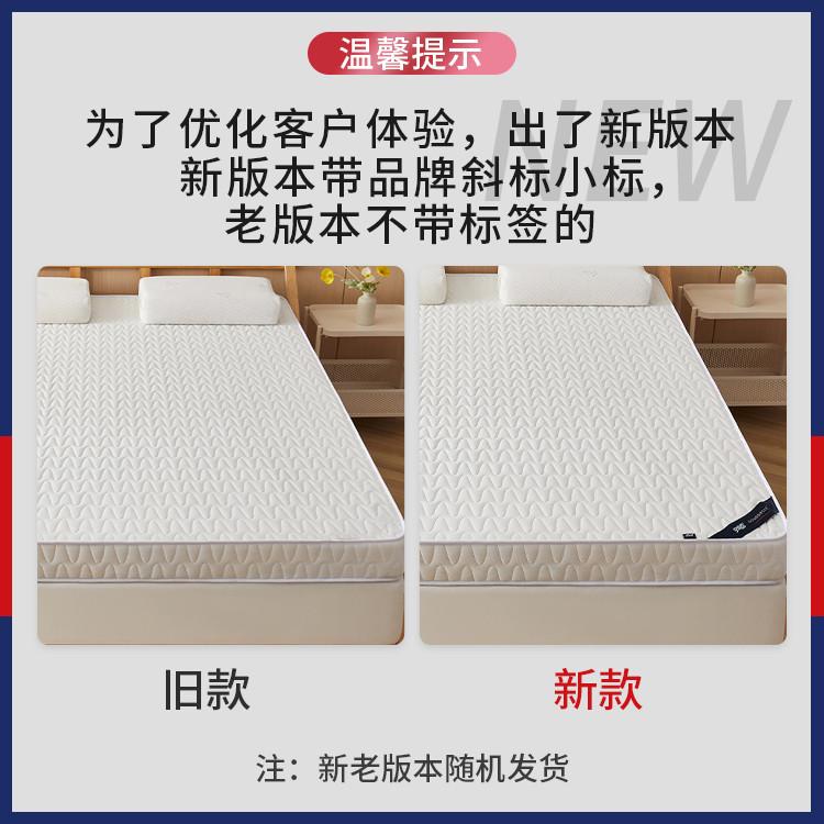 Sleeping Treasure Coconut Brown Mattress Soft Cushion