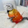 Demon Slayer Zenitsu Pet Cosplay wiosenne letnie ubrania dla kotów śliczny kociak ubrania dla kota Zenitsu odzież dla psów