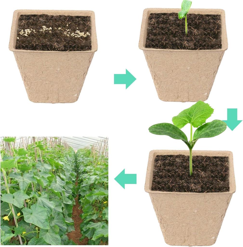 Biodegradable Seedlings Pots Garden Plant Nursery Pot with Drainage Holes Flower Vegetable Seed Starting Trays Gardening Tool