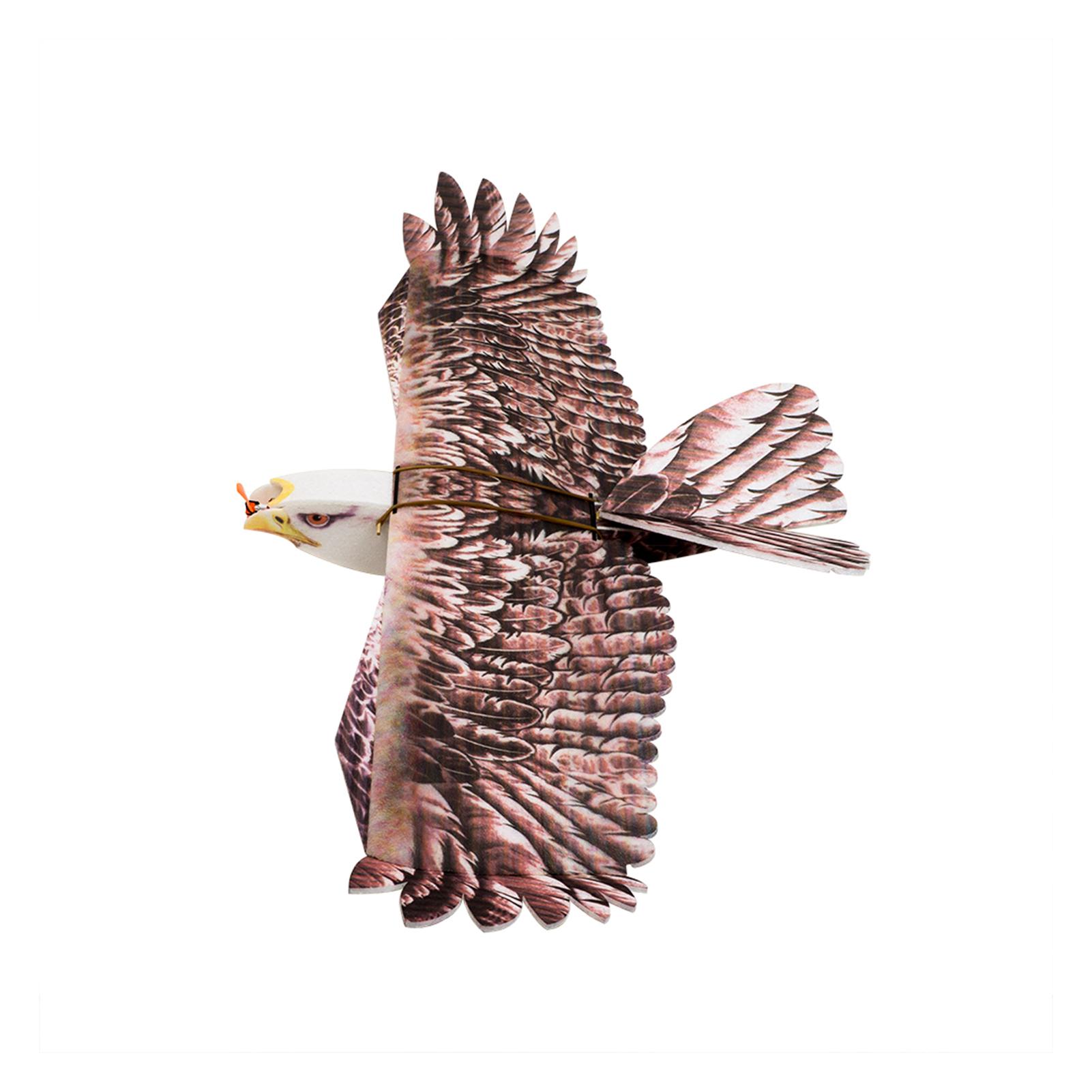 

Dancing Wings Hobby E1904 EPP RC Airplane Eagle Plane 1430mm Electric Powered Aircraft Unassembled PNP Version DIY коричневий