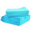 10Pcs Super Absorbent Pet Training Pads Puppy Pee Pads for Indoor Dogs Elderly Canine Cage Car Hotel Clean Dry Surface Odor