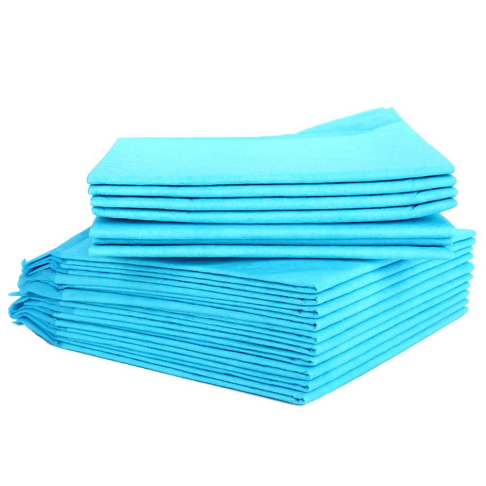 10Pcs Super Absorbent Pet Training Pads Puppy Pee Pads for Indoor Dogs Elderly Canine Cage Car Hotel Clean Dry Surface Odor