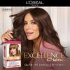 Paris Excellence R Liquid Hair Dye for Gray Light Chestnut Brown L'Oreal Hair, 6WB, Warm,