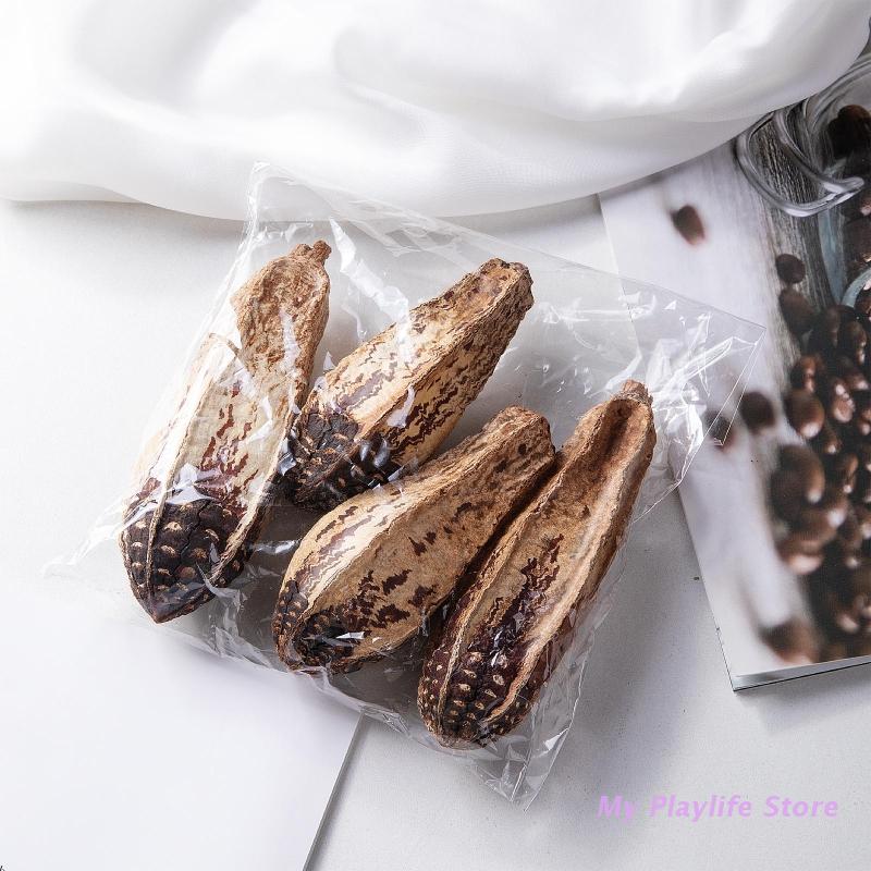 Bird Parrot Toy Natural Chew Toys Dried Star Fruit Cage Accessories for Hamsters Gerbils Chipmunks Small & Medium Birds