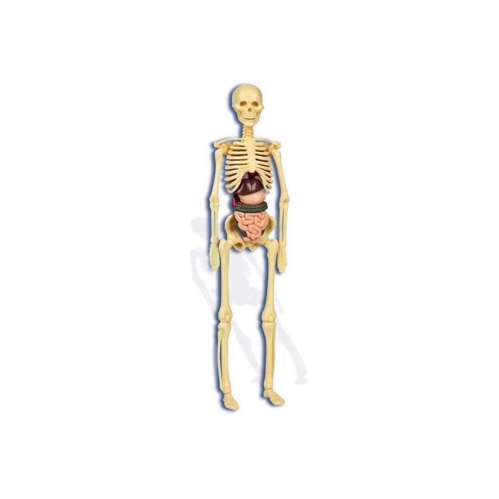 Ciencia y Juego Science and Game Clementoni 550890 The Human Body Ciencia y Juego Science and Game Clementoni 550890 The Human Body