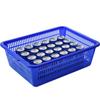 Huihuang Rectangular Plastic Storage & Drain Basket
