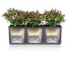 LECHUZA Jardinière - Trio Cottage 30 - 100 X 32,5 X 34,5 Cm - 42 L - Kit Complet - Granit