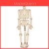 Childrens Human Skeleton Building Kit Science Experiment Educational Toy For Kids Learning