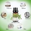 10ML Rosemary Essential Oil Moisturizing Rosemary Single Massage Oil for Beauty