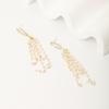 Silver Needle High-End Long Tassel Earrings for Women, Water Drop Light Luxury Earrings, Elegant Pearl Trendy Fashion Jewelry