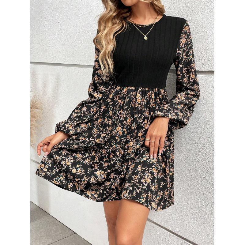 Women Floral Print Long Sleeve Mini Dress Round Neck A Line Casual Fall Dress