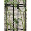 Rust-resistant Garden Stainless Steel Trellis U-Shaped Rings Garden Plant Stake