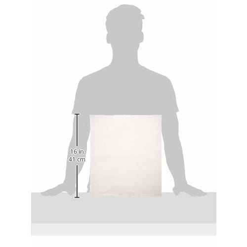 EBM Dashi Strainer Pack (10 sheets) L