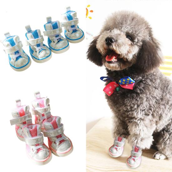 water dog shoes