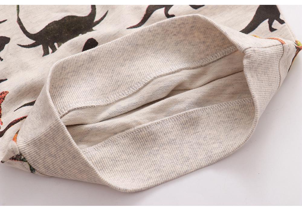 European Children's Cotton Long-Sleeve Hoodie for Autumn and Winter
