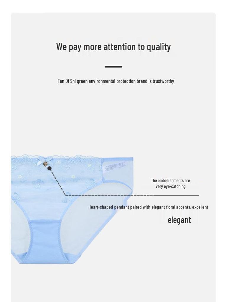 Fandecie Women's Low-Rise Elastic Mesh Briefs