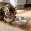 Large Capacity Stainless Steel Cat Bowl Anti-Tipping Double Water Bowls  for Kitten