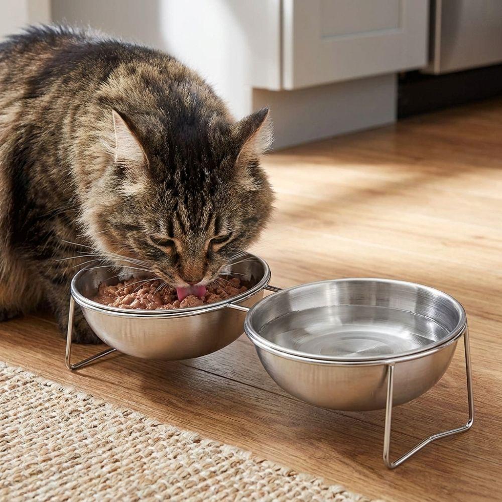 Large Capacity Stainless Steel Cat Bowl Anti-Tipping Double Water Bowls  for Kitten