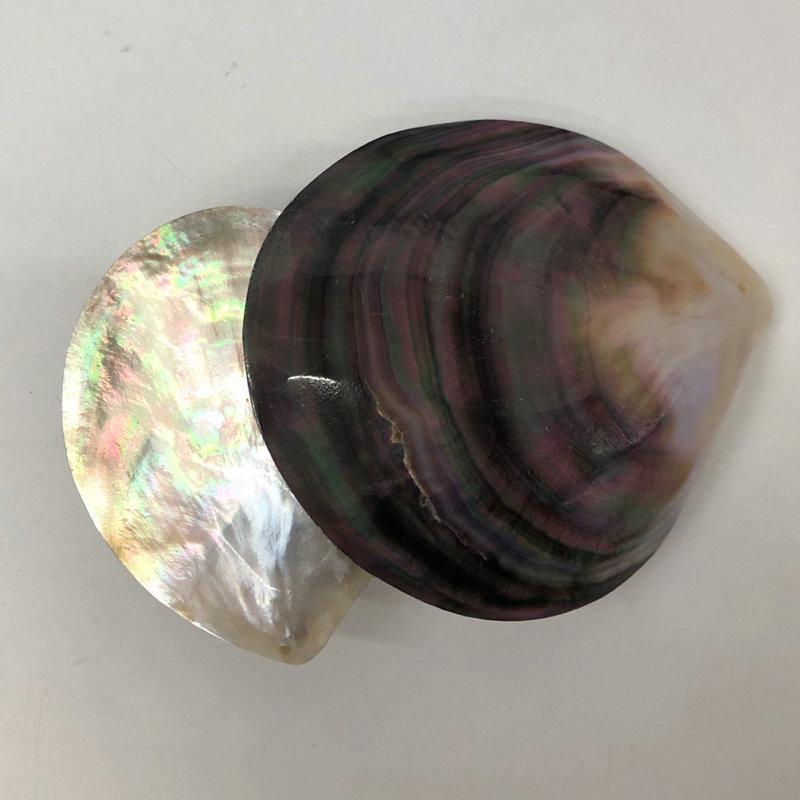 Natural Blacklip Pearl Irregular Pieces: Clothing Pendants, Charms, Caviar Dishes, Home Ornaments, DIY Accessories