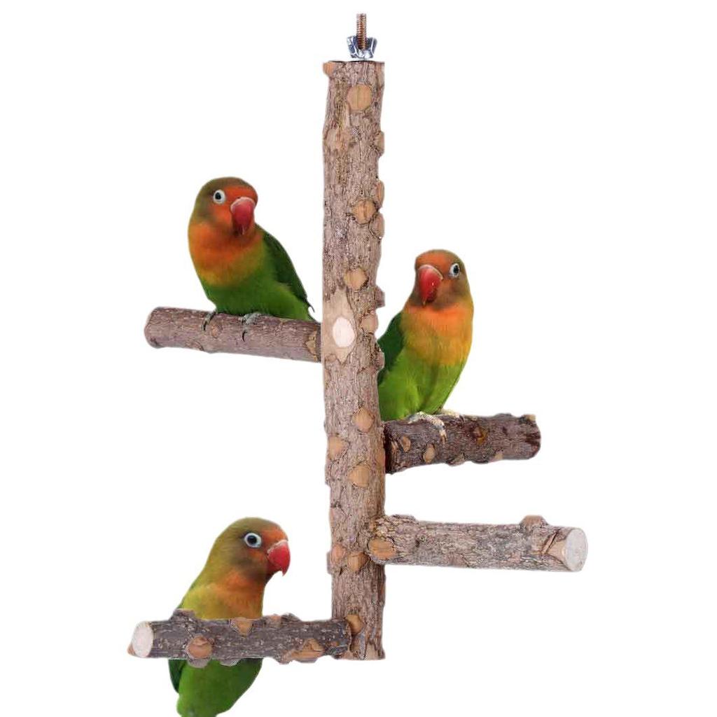 Parrot Activity Stand: Chewing Toys & Pepper Wood Rod for Birds