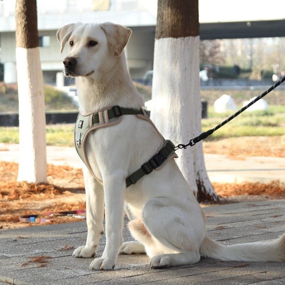 Reflective Dog Chest Strap Comfortable Dog Leash Lightweight Anti-Pull Dog Harness  Daily Walks