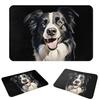 Border Collie Non-slip Doormat Floor Mat Cushion Carpet Rug for Kitchen Entrance Home Living room Footpad Mats