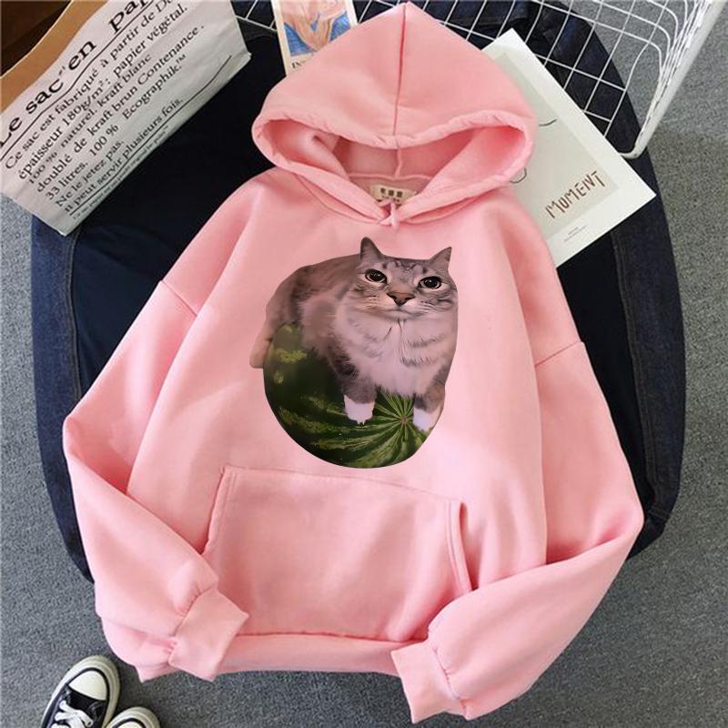 Sevimli Karpuz Kedi Aptal Kedi Mems Baskılı Kapüşonlular 90'lar Günlük Sweatshirtler Grafik Y2k Kapüşonlu Kadın Gotik Sokak Giyim