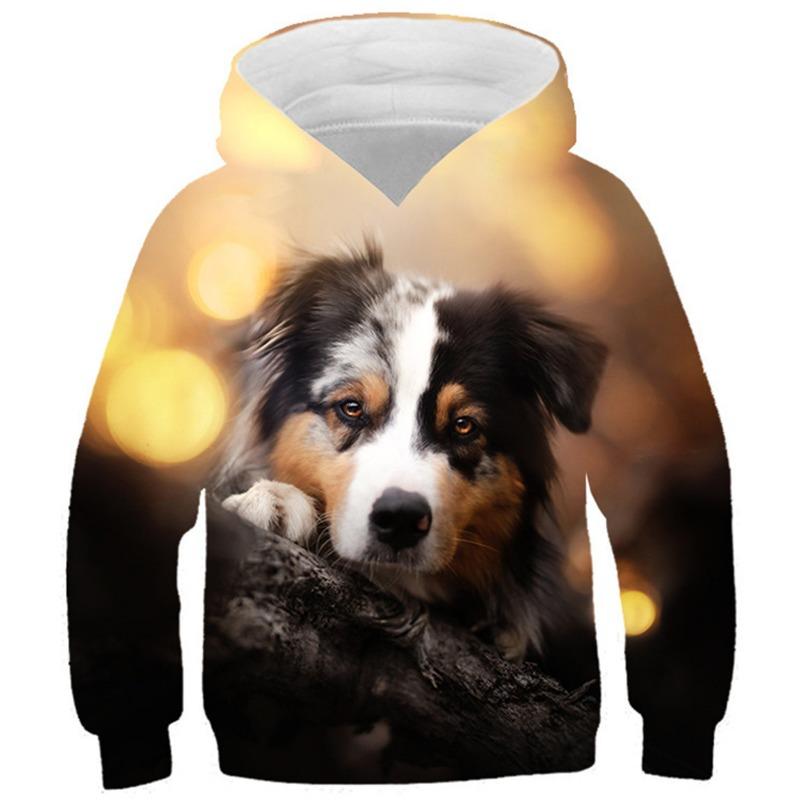 Autumn 3D Animal Pattern Printed Hoodies Fashionable Casual Sports Long Sleeved Children's Boy Hooded Sweatshirts