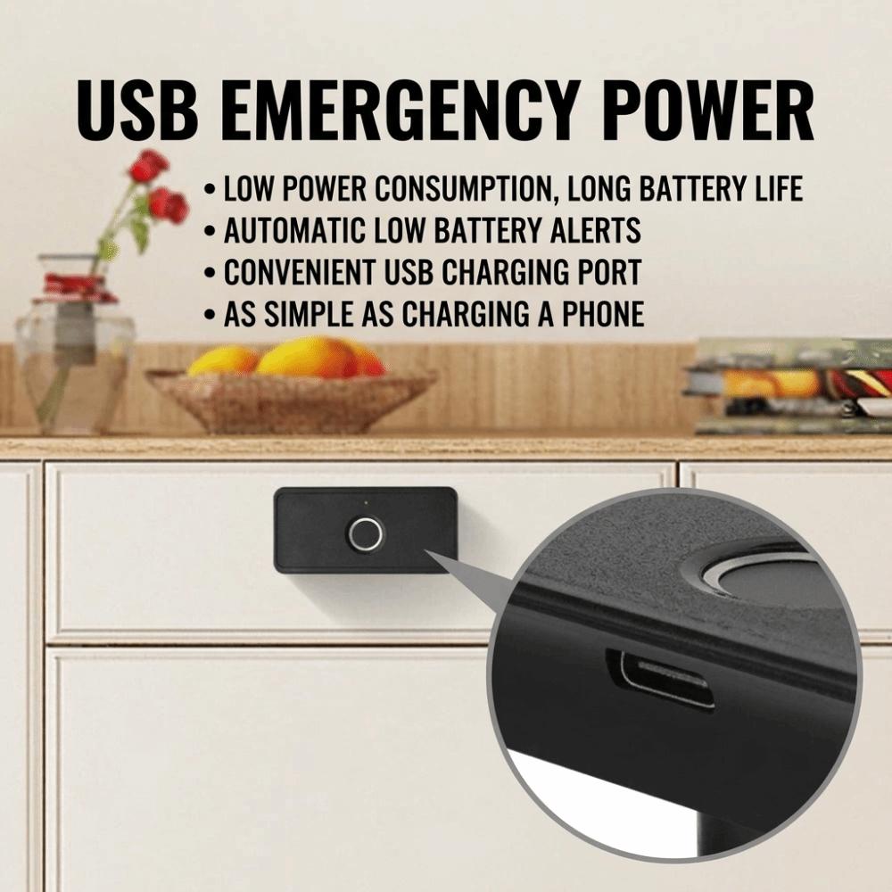 Fingerprint Keyless Electronic Cabinet Lock Keyless Digital Storage Locker Lock Nightstand