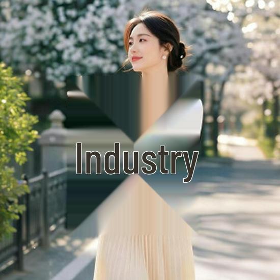 Women s Retro Chinese Style Embroidered Frog Button Vest – High-End Camisole for Middle-Aged Mothers 3XL