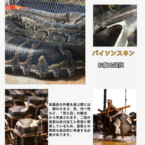 JoFist Erhu, a Stringed Instrument for Professional Musicians, Developing Interest in Children and Adults, a Hardwood Two-Stringed Instrument for Begi