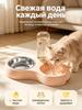 Double bowl station 2 in 1 for home with cat and dog, automatic water supply, metal food bowl, no overflow, for two pets